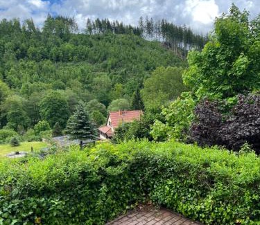Finsterbergen House | Ferienhaus Talblick, im Luftkurort Finsterbergen