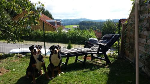 Zandt House | Ferienhaus Tine am Schlossberg in Zandt