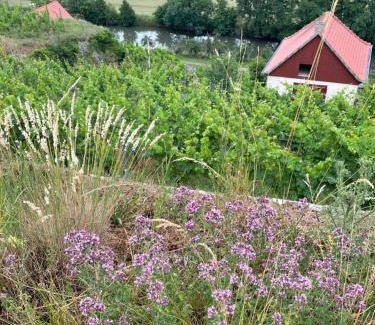 Freyburg House | Ferienhaus Traminer im Weinberg