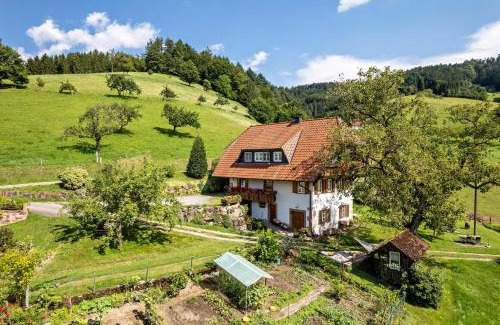 Nordrach Apartment | Ferienhaus Vollmer