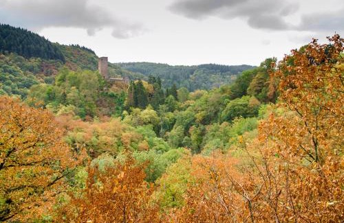 Kopp House | Ferienhaus Vulkaneifel Kopp
