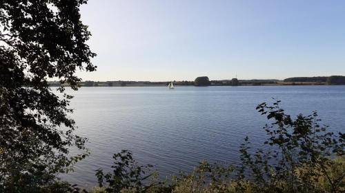 Winnemark House | Ferienhaus Waldidyll - Erholung zwischen Schlei und Ostsee