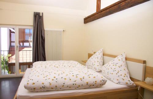 Billigheim-Ingenheim House | Ferienhaus & Weingut am Steingebiss