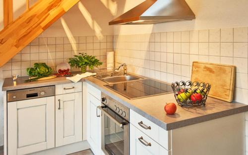 Frohnd Apartment | Ferienhof Wuchner - Fewo "Wintertraum"