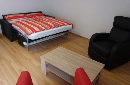 Missen-Wilhams Apartment | Ferienpark Oberallgäu Ferienwohnung