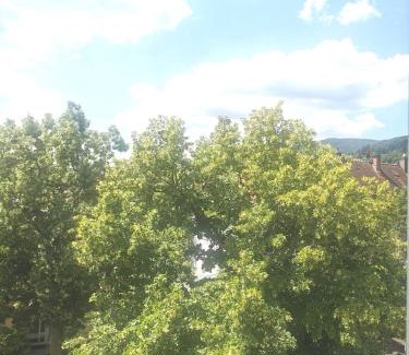 Neustadt an der Weinstrasse Apartment | Ferienwohnung Forest & Wein