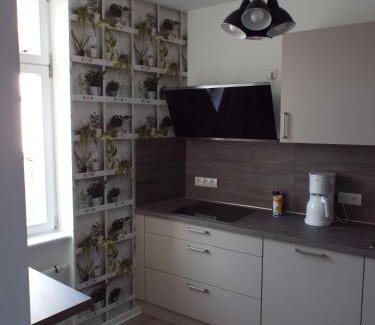 Neustadt an der Weinstrasse Apartment | Ferienwohnung Mittendrin mit Parkplatz