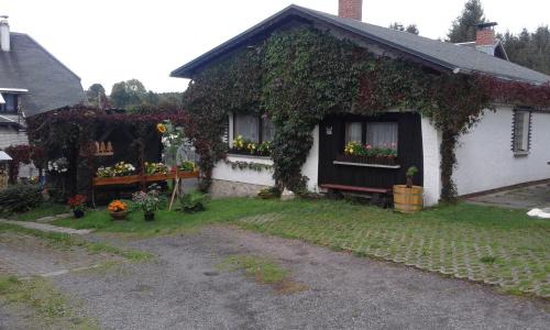 Schmiedefeld am Rennsteig Apartment | Ferienwohnung Kupfer