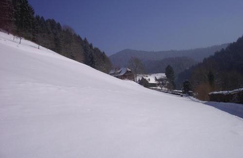 Bad Rippoldsau-Schapbach Apartment | Ferienwohnungen Vogt's Libding