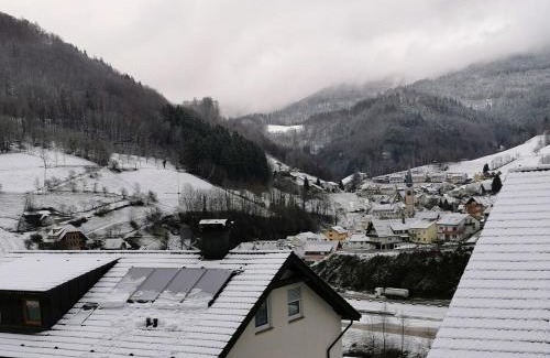 Bad Peterstal-Griesbach Apartment | Ferienwohnung Hilde