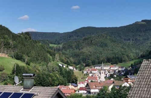Bad Peterstal-Griesbach Apartment | Ferienwohnung Hilde