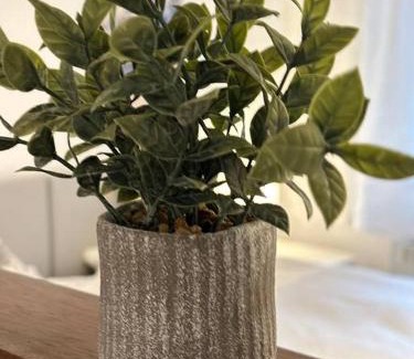 Bruchweiler-Baerenbach Apartment | Ferienwohnung zur Sternblume