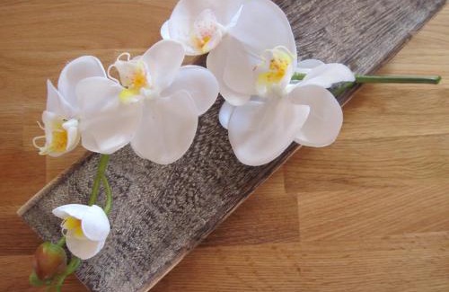 Villingen-Schwenningen Apartment | Ferienwohnung Orchidee am Neckar