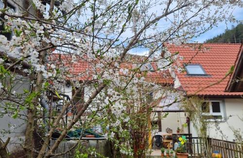 Bad Teinach-Zavelstein House | Ferienwohnung TAL-ECK