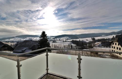 Bernau Apartment | Ferienwohnung Kraftquelle im Wohnpark SchwarzwaldBlick, Bernau