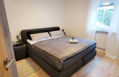 Rielasingen-Worblingen Apartment | Ferienwohnung Rhode