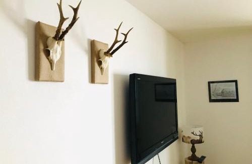 Dienten am Hochkoenig Apartment | Ferienwohnung Wieser Reizegg 7, 5652 Dienten