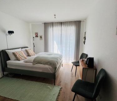 Unterwiehre-Nord Apartment | Ferienwohnung Bächle, sehr zentral