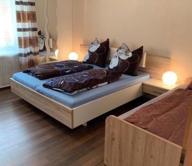 Maibrunn Apartment | Ferienwohnung Ödbach mit Terrasse