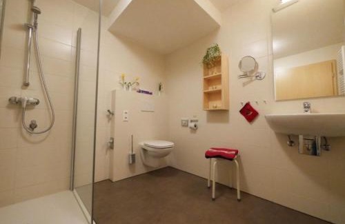 Ochsenhausen Apartment | Ferienwohnung 1