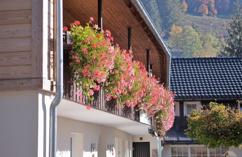 St. Blasien Apartment | Ferienwohnung 1 Spiesshorn, 34qm, 1 Wohn-/Schlafzimmer, max. 2 Personen