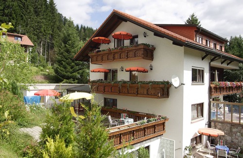 St. Blasien Apartment | Ferienwohnung 3, 50 qm, 1 Schlafzimmer und 1 Wohn/Schlafraum, max. 3 Personen