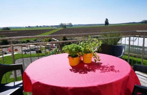 Ochsenhausen Apartment | Ferienwohnung 4