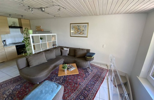 Alpirsbach Apartment | Ferienwohnung 57 qm, Wohnzimmer mit integrierter Küche, Badezimmer mit Dusche und WC