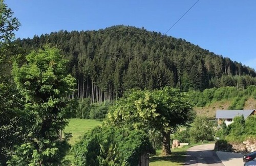 Hornberg Apartment | Ferienwohnung, 80 qm, 2 Schlafzimmer, 1 Wohnzimmer, max. 4 Personen