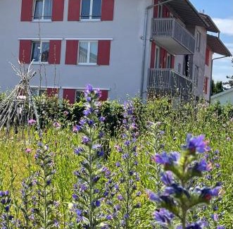 Bad Aibling Apartment | Ferienwohnung Allium