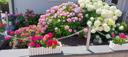 Merzig Bed & Breakfast | Ferienwohnung Aloysia am Saarlandradweg