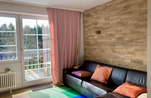 Hinterzarten Apartment | Ferienwohnung Alva Hinterzarten