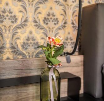 Naumburg Apartment | Ferienwohnung am Dom