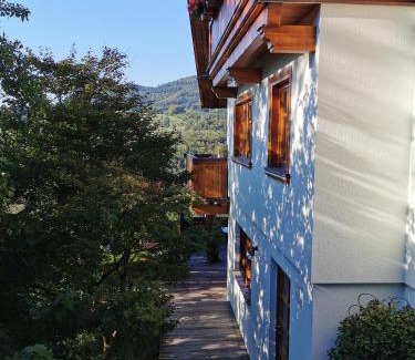 Schopfheim Apartment | Ferienwohnung am Fuchsbühl