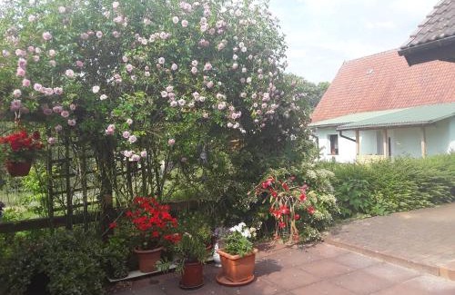 Muritz House | Ferienwohnung am Hufegraben