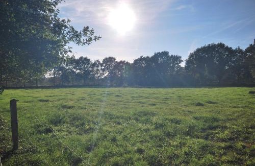 Uplengen Apartment | Ferienwohnung Am Moor, 35629