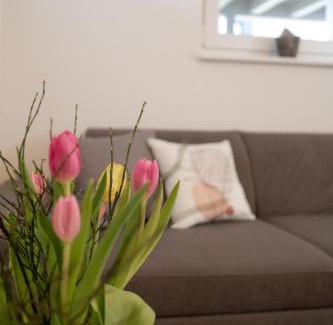 Niederlehen Apartment | Ferienwohnung am Tanzberg