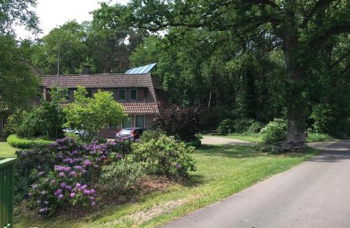 Westerstede Apartment | Ferienwohnung am Thalenbusch
