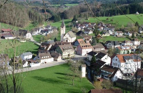 Schuttertal Apartment | Ferienwohnung am Wald Schuttertal