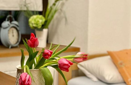 Meissen Apartment | Ferienwohnung am Weinberg