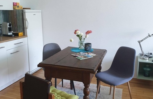 Puch bei Weiz Apartment | Ferienwohnung an der Apfelstraße - Appartement/fewo, Dusche, WC, 1 Schlafraum