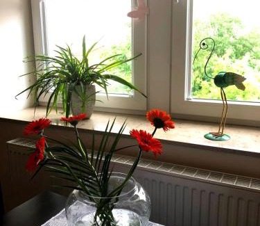 Laubegast Apartment | Ferienwohnung an der Elbfähre