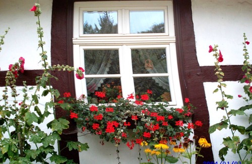 Muritz Apartment | Ferienwohnung/app. für 5 Gäste mit 75m² in Ulrichshusen