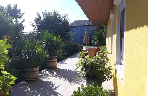 Sankt Andra am Zicksee Apartment | Ferienwohnung 3