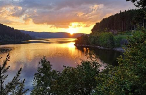 Schluchsee Apartment | Ferienwohnung Auszeit bei Jessy, ruhig und zentral nahe Badesee