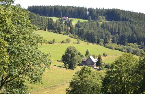 Rudenberg Apartment | Ferienwohnung Beim Pauli