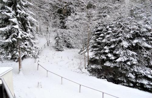 Triberg im Schwarzwald Apartment | Ferienwohnung Bergblick