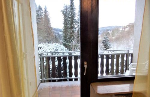 Triberg im Schwarzwald Apartment | Ferienwohnung Bergblick