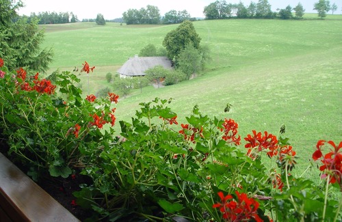 St. Peter im Schwarzwald Apartment | Ferienwohnung Blumenwiese, 80qm, 2 Schlafzimmer, max. 4 Personen