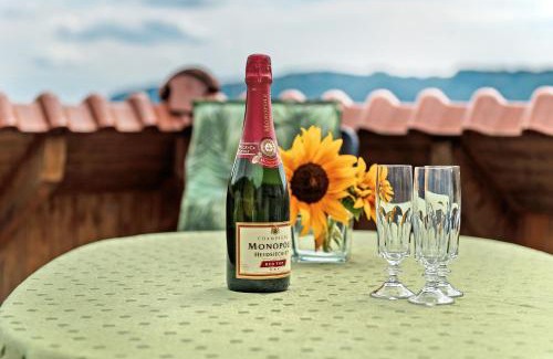 Espasingen Apartment | Ferienwohnung Bodenseeblick